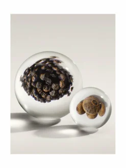 Naiset-Molton Brown Black Pepper EdP Refill -täyttöpakkaus 7,5 ml