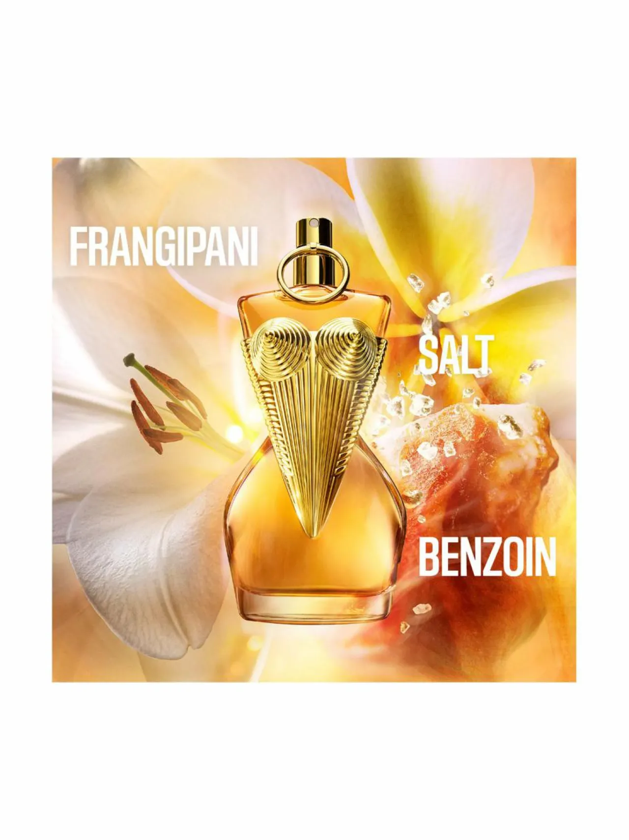 Naiset-Jean Paul Gaultier Divine Le Parfum -tuoksu