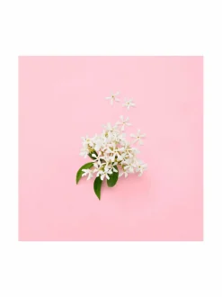 Naiset-Gucci Flora Gorgeous Gardenia EdP 30 ml