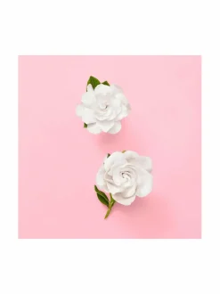 Naiset-Gucci Flora Gorgeous Gardenia EdP 30 ml