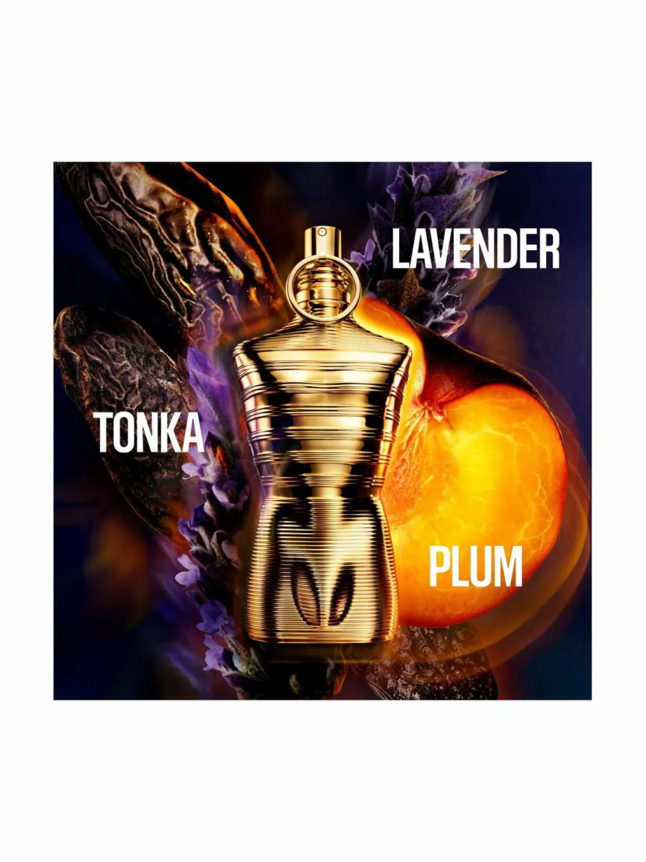 Tuoksut|Miehet-Jean Paul Gaultier Le Male Elixir Absolu EdP -tuoksu