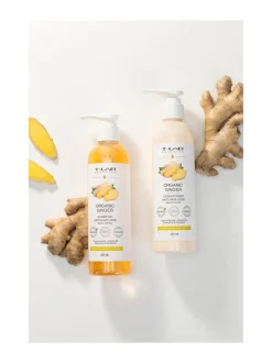 Hiustenhoitopakkaukset-T-LAB Professional Organic Ginger Duo Set -hiustenhoitopakkaus, 2 tuotetta