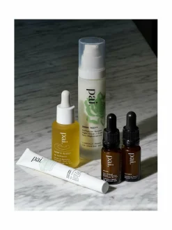 Kasvojenhoito|Kasvojenhoito-Pai Skincare Viper’s Gloss Squalene Overnight Face Oil -kasvoöljy yöksi 30 ml